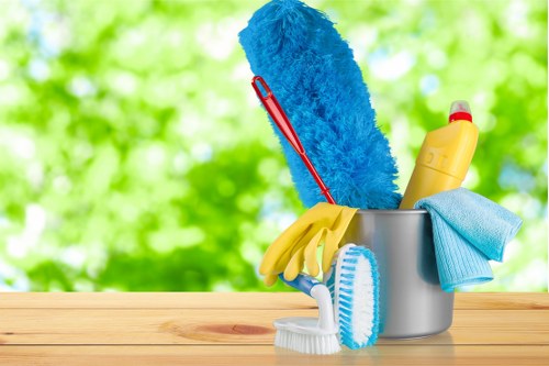 Professional carpets cleaner in Kingston restoring a living room carpet