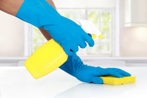 Professional home cleaners in Kingston servicing a modern living room