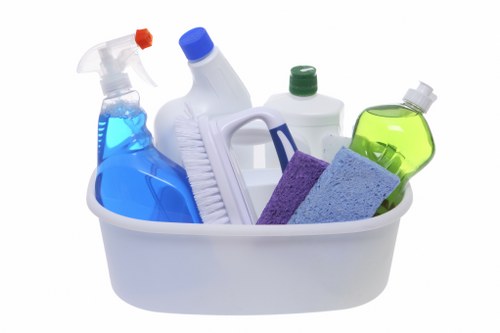 Illustration of ethical carpet cleaning with compliance focus