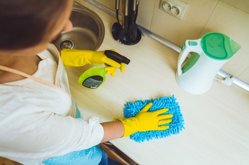 Kitchen appliance and surface deep cleaning in Kingston
