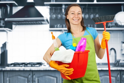 Domestic cleaners in Kingston refreshing a living room