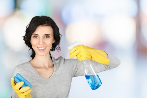 Carpet cleaning example jobs for homes and busy Kingston locations