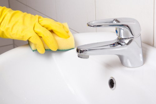 Domestic cleaning service in Kingston focusing on bathroom hygiene