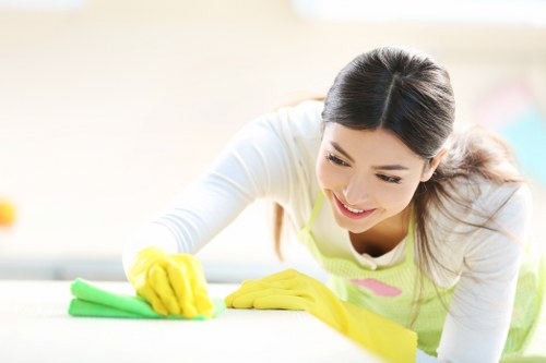 Commercial cleaners maintaining a Kingston office workspace