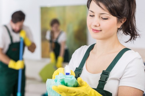 Carpet cleaning services in Kingston treating stains and odors