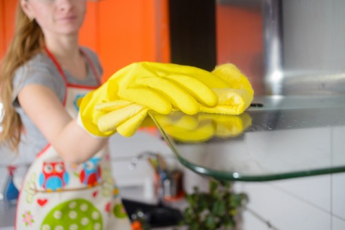 Technician providing professional oven cleaning service in Kingston