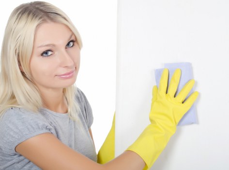 Cleaner maintaining a bright Kingston kitchen during domestic cleaning