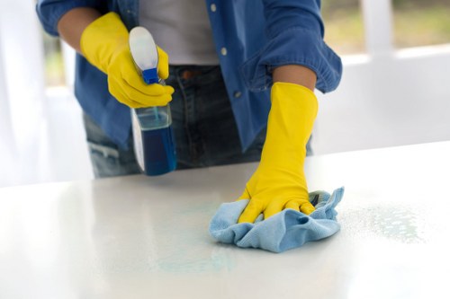 Cleaner in Kingston performing deep bathroom cleaning services