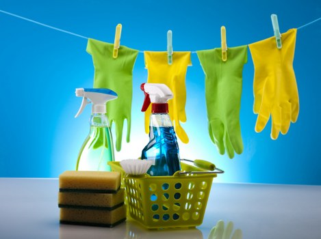 Liability, access, and property care during carpet cleaning service
